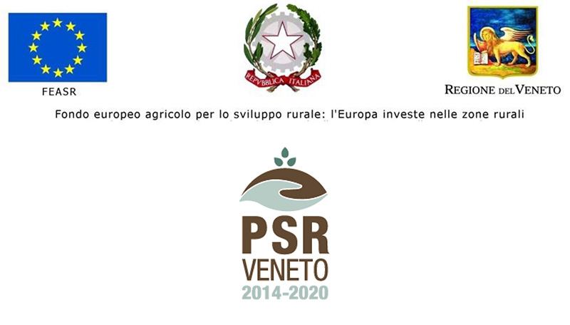 PSR Veneto